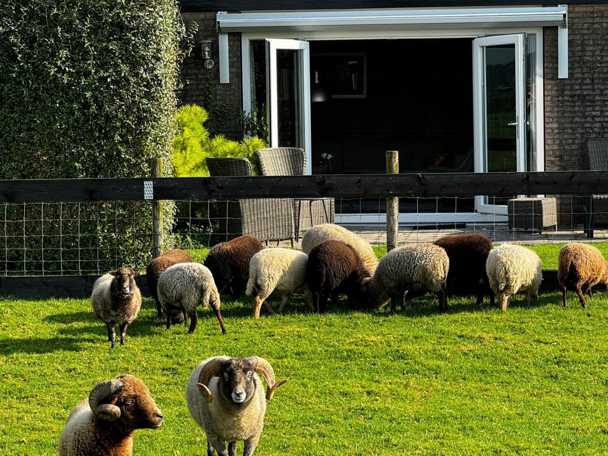 Vakantiewoning Le Garaazje 'S-Gravendeel Dış mekan fotoğraf